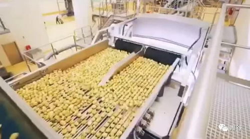 佳盛企智深加工共享工廠 創新農產品生產模式，助力蔬菜產業升級